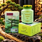 Wisdom Ginseng Kianpi Pil Bitkisel Karbonhidrat 60 Caps Qr Check Kod Garantili Weıght Gaın