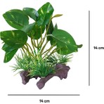 Bonisa BNS-3802 Plastik Akvaryum Dekoru 14 x 14 cm