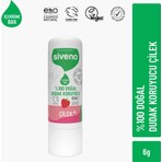 Siveno %100 Doğal Dudak Koruyucu Çilek Bitkisel Lip Balm Dudak Kremi Nemlendirici Parlatıcı Onarıcı 6 G