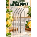 Tasarım Evi Premium 5 Parça Metalik Gri Paslanmaz Çelik Pipet Seti - 4 Eğimli +1 Fırça
