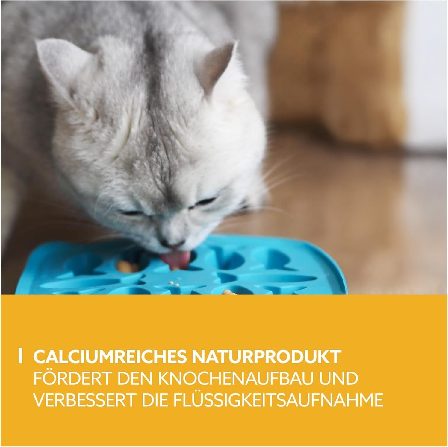 Aesco Gimcat Puding Kedi Ödülü 150 gr görsel 3