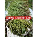 Büyük Sezon İndirimi