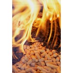 Büyük Sezon İndirimi