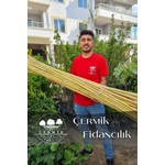 Avantajlı Fiyatlar