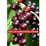 Büyük Sezon İndirimi