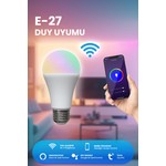 Yeni Koleksiyon