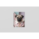 Çok Özel Fiyatlarla