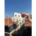 Yeni Koleksiyon