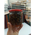 Yeni Koleksiyon
