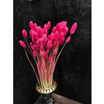 Büyük Sezon İndirimi