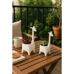 Çok Özel Fiyatlarla