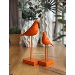 Büyük Sezon İndirimi