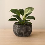 Büyük Sezon İndirimi