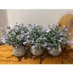 Çok Özel Fiyatlarla