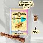 Yeni Koleksiyon