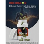 Yeni Koleksiyon