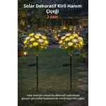 Yeni Koleksiyon