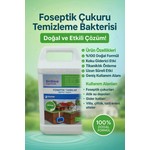 Yeni Koleksiyon