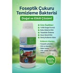Yeni Koleksiyon