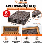 Yeni Koleksiyon