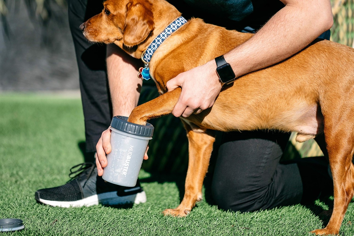 Odea Dexas Kapaklı Çamurluk Taşınabilir Köpek Pati Temizleyici, Büyük, Açık Gri görsel 2