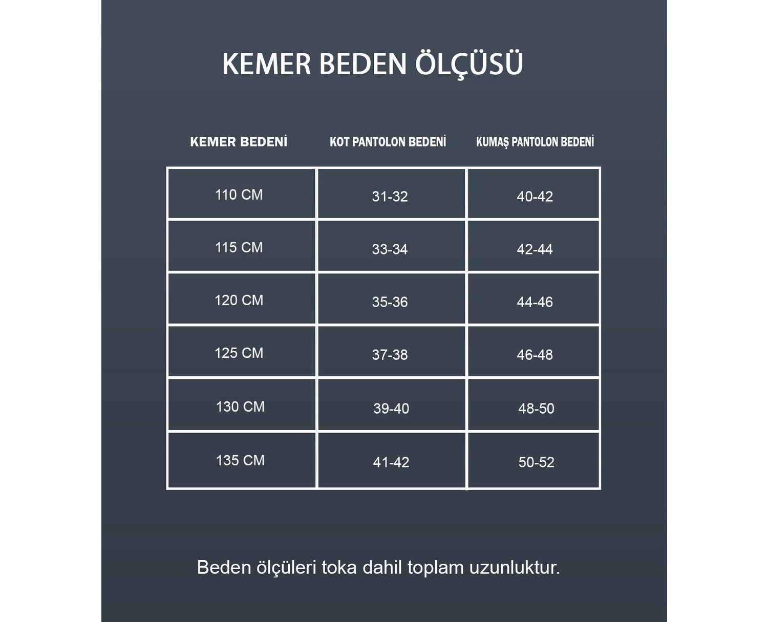 Pierre Cardin Siyah-Lacivert Çift Yönlü Deri Erkek Kemeri (En 3,5 cm) PCCİFT01L2D görsel 8