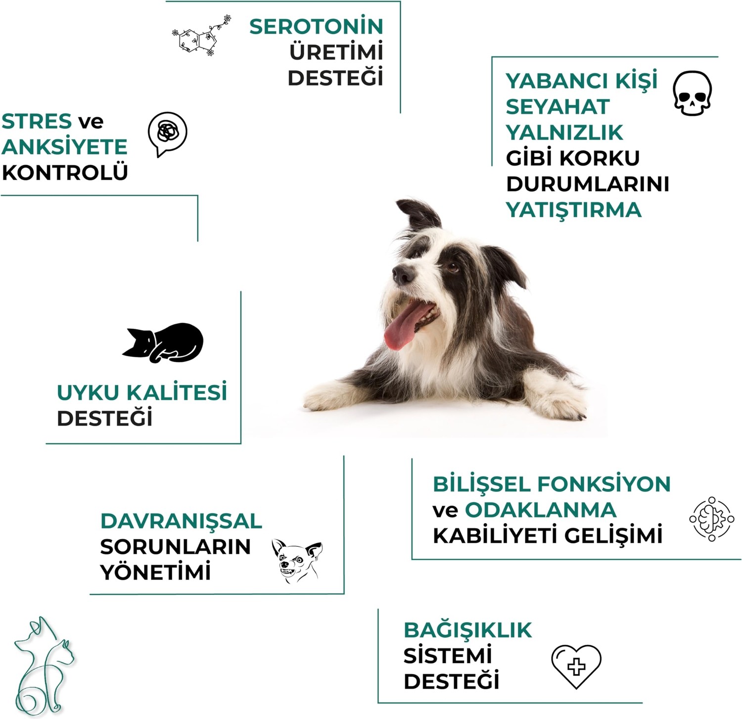 Die Grup Kahu Naturals Calm Canine Formula, Köpekler Için Bitki Özlü Sakinleştirici Rahatlatıcı Takviye, 60 Tablet görsel 3
