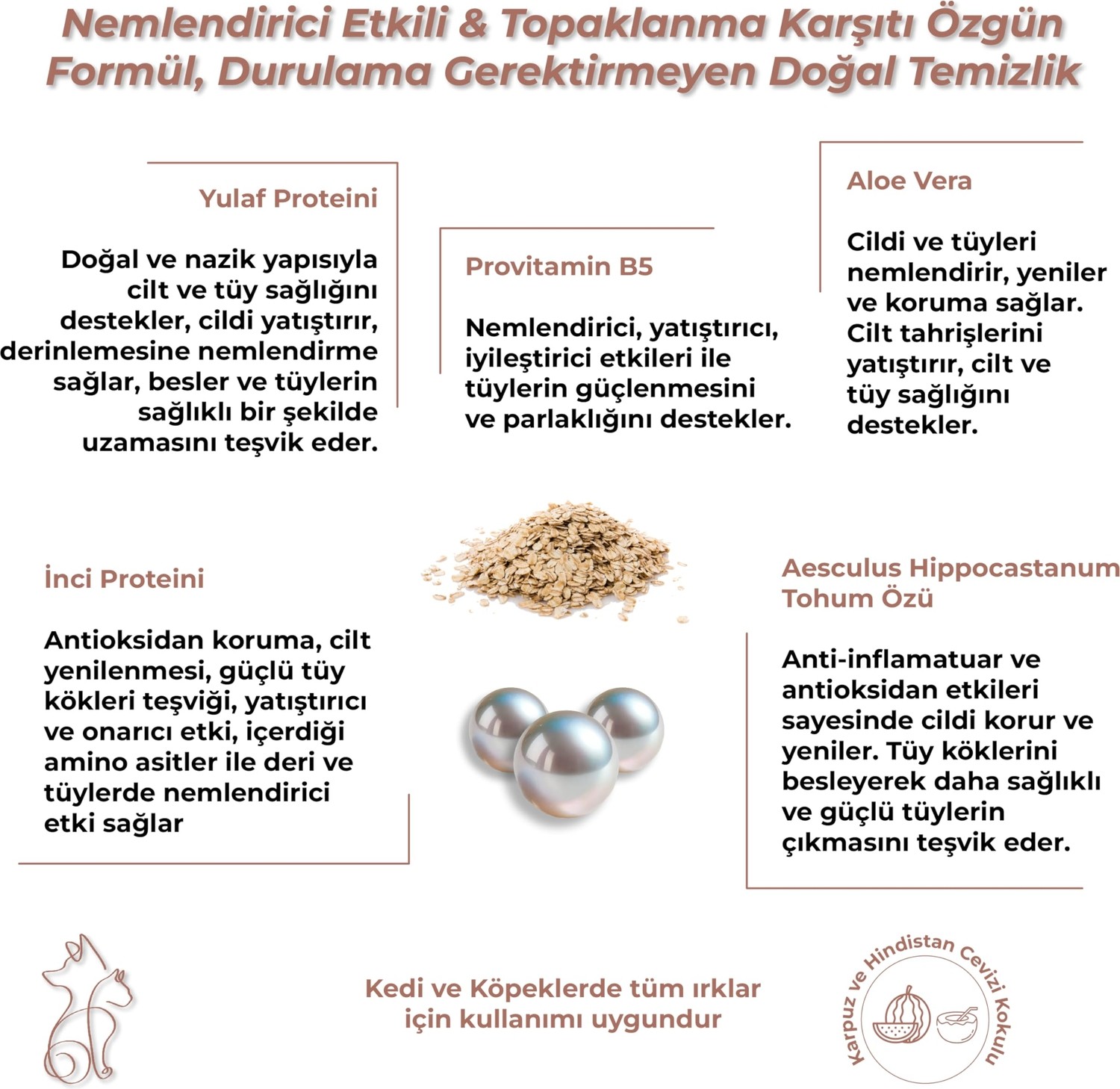 Die Grup Kuru Köpük Şampuan ve Nemlendirici, Durulamasız, Kolay Tarama, Kedi ve Köpek, Organik Içerikli, 200 ml görsel 5