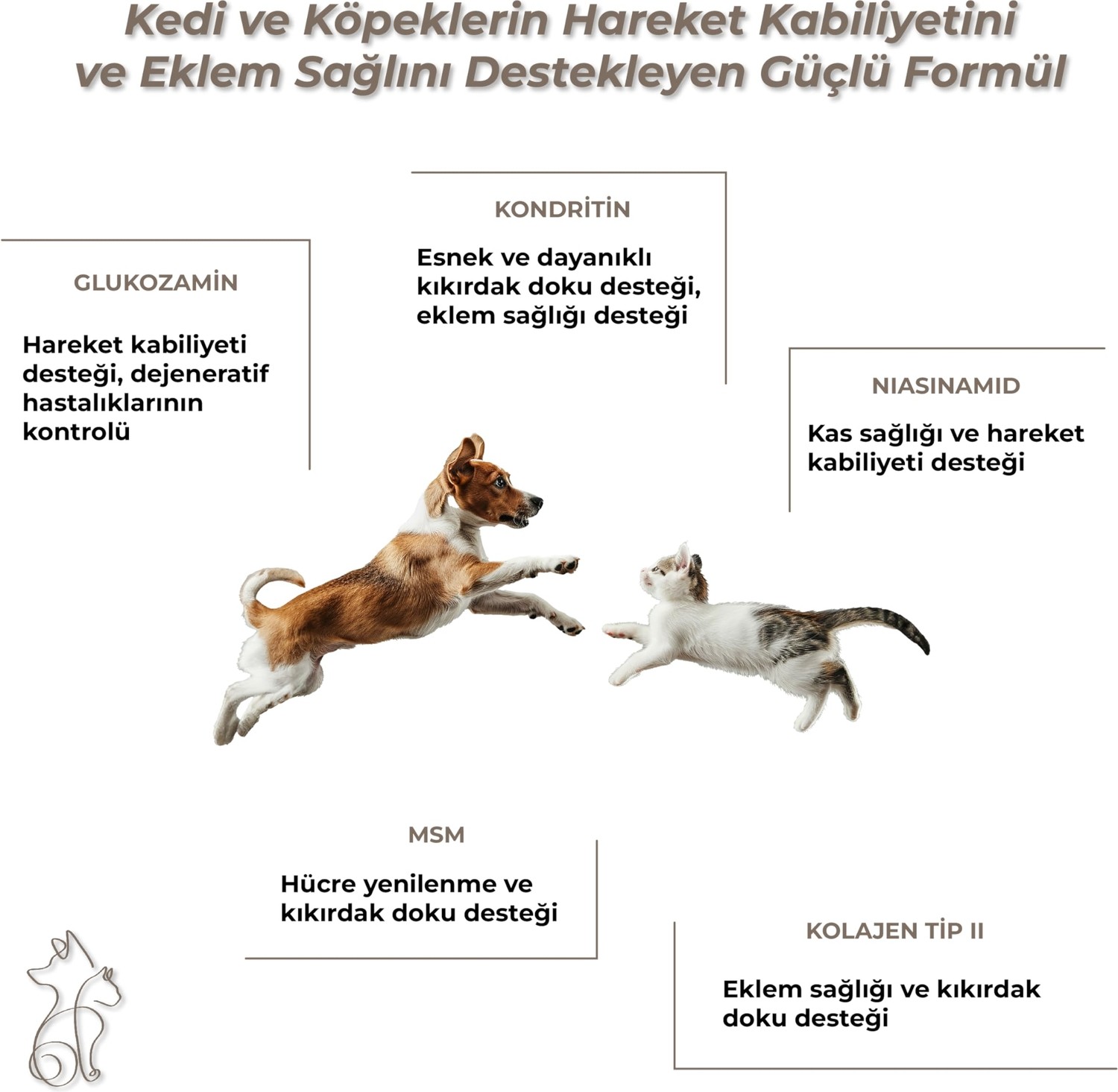 Aesco Kahu Naturals Joints&mobility, Glukozamin, Kondritin, Kolajen, Kedi ve Köpek, 60 Tablet görsel 3