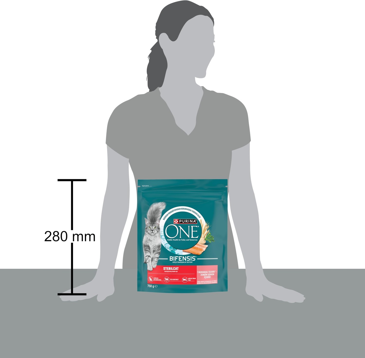 Die Grup Purina One Sterilcat Somonlu Kısırlaştırılmış Kuru Kedi Maması 750G görsel 3