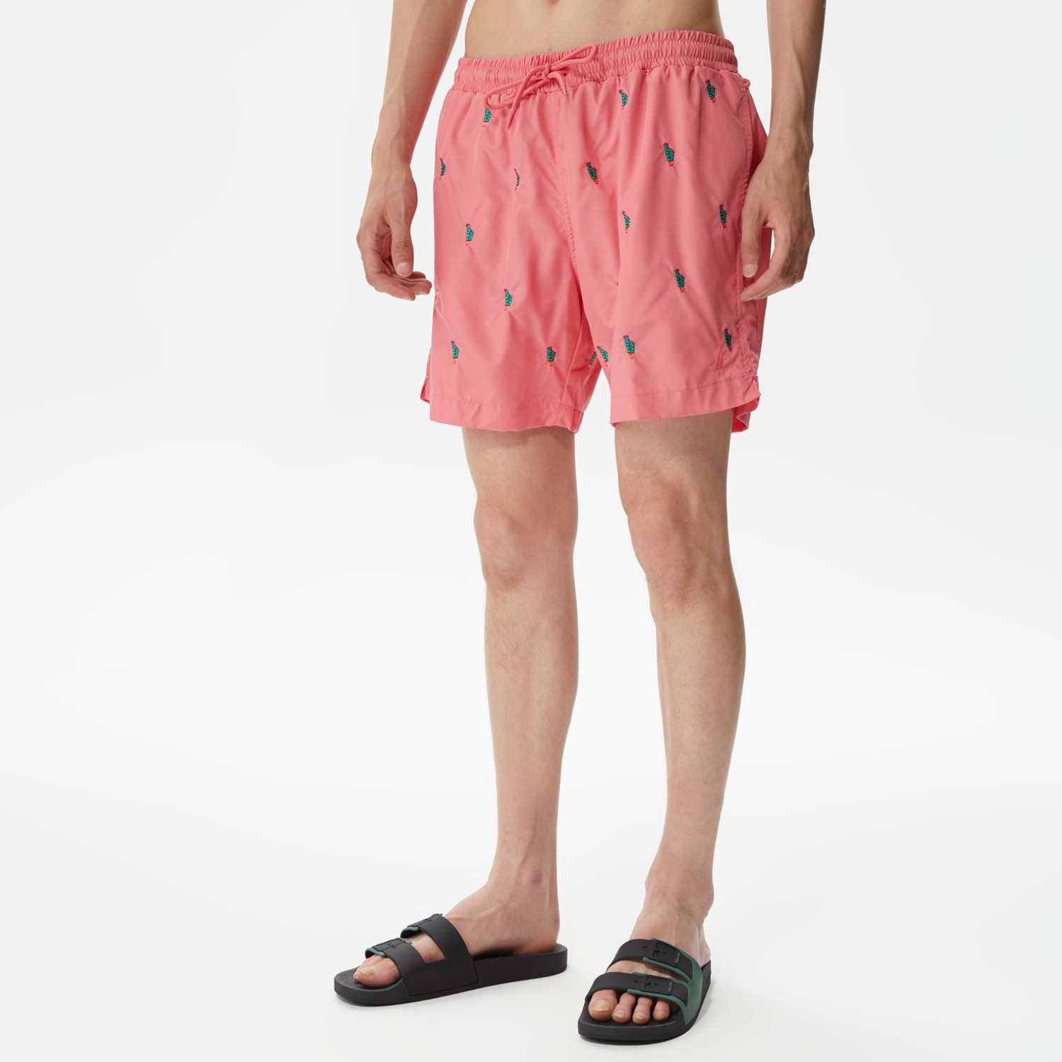 Nautica Erkek Pembe Desenli Deniz Şortu T35224T.6TH görsel 4