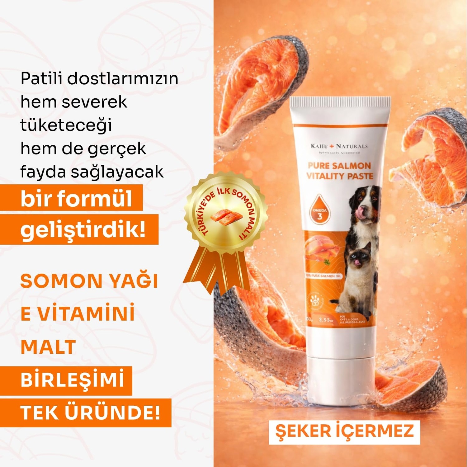 Aesco Kahu Naturals Somon Yağlı Malt, Omega-3 (Epa & Dha) Içerikli, Kedi ve Köpek Için, 100 G görsel 3
