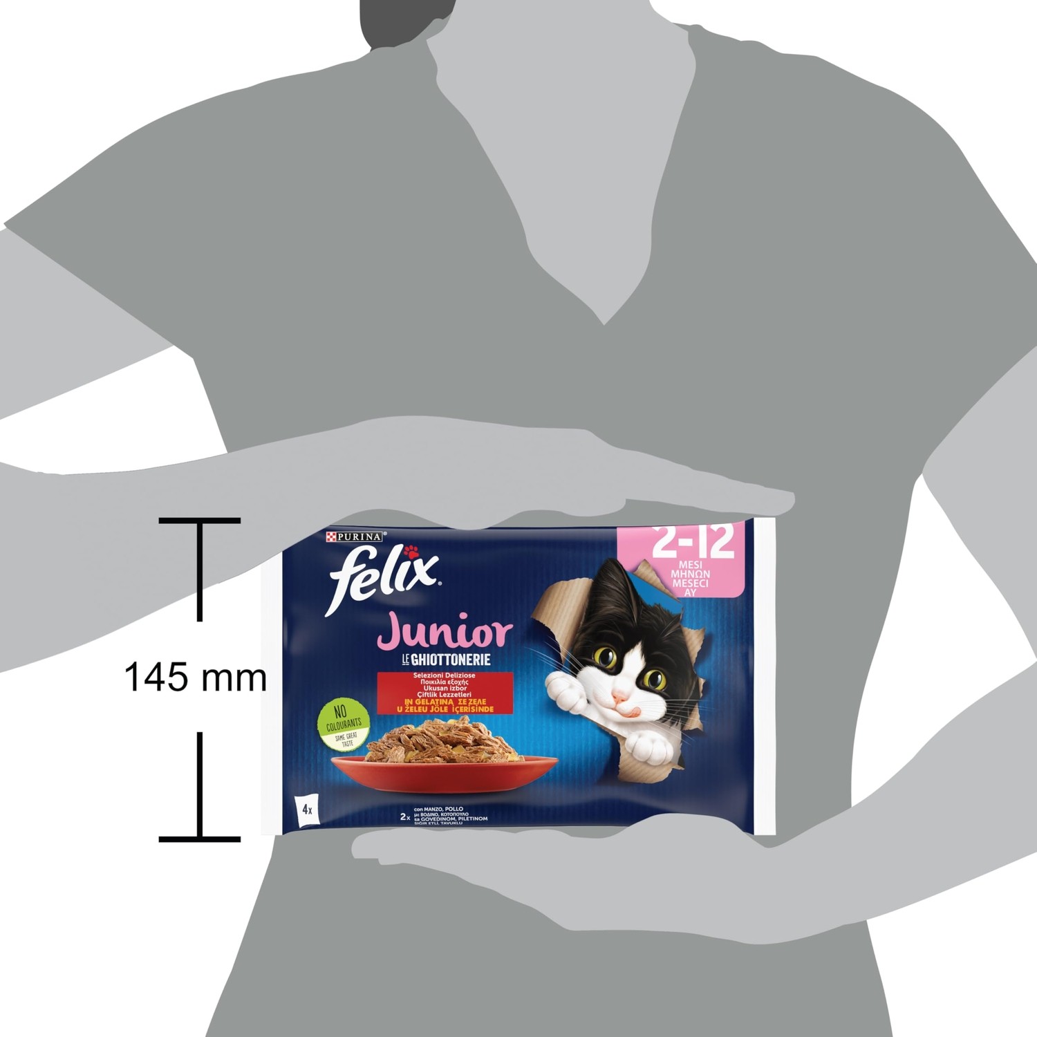 Aesco Felix Yavru Kedi Avantajlı Paket (12X4= 85GR) görsel 4
