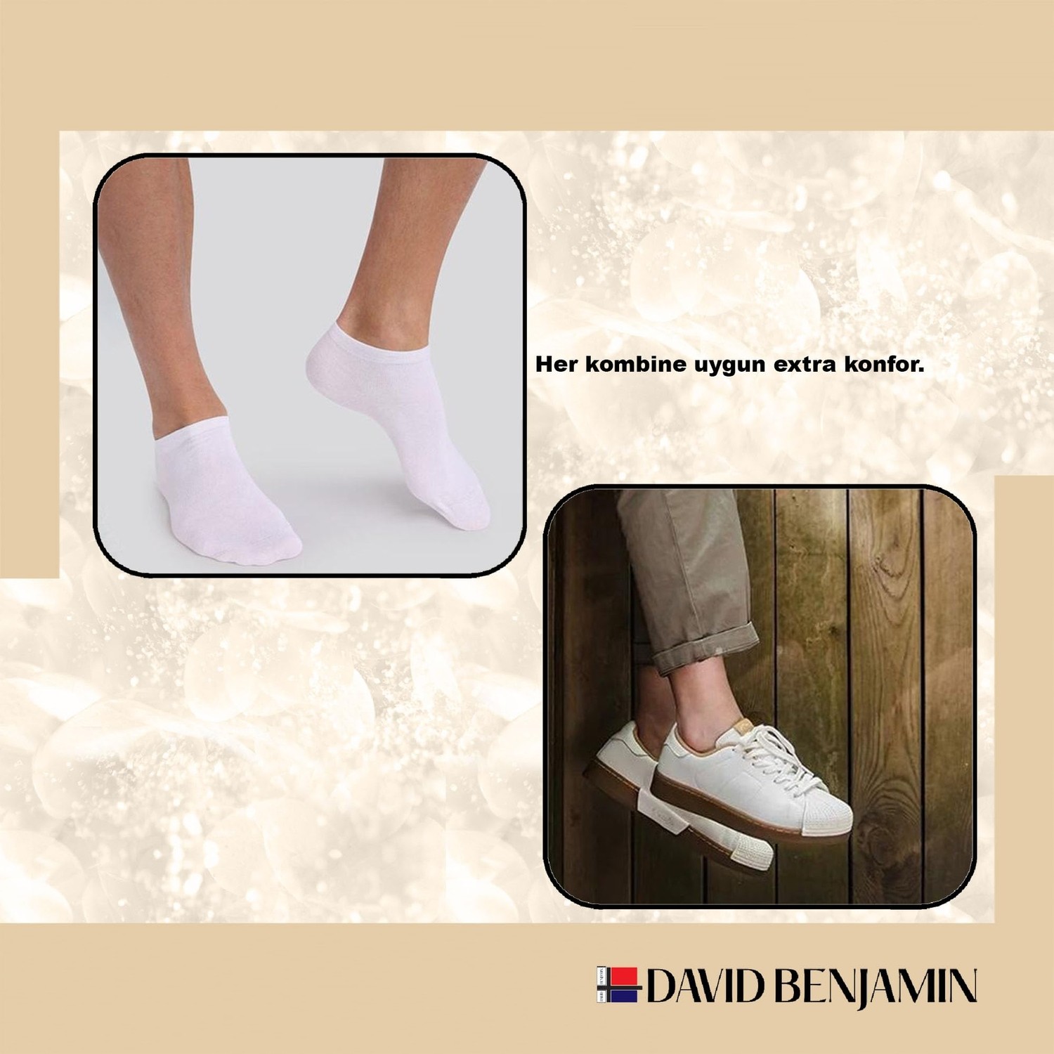Aesco David Benjamin Unisex 10’lu Premium Kutulu Pamuk Sneaker Çorap Patik Çorap - Nefes Alabilen, Kaymaz, Dikişsiz - Kadın & Erkek Için Yumuşak, Kısa Çorap, Spor Çorabı - Yürüyüş, Koşu Için (Beyaz, 43-46) görsel 4