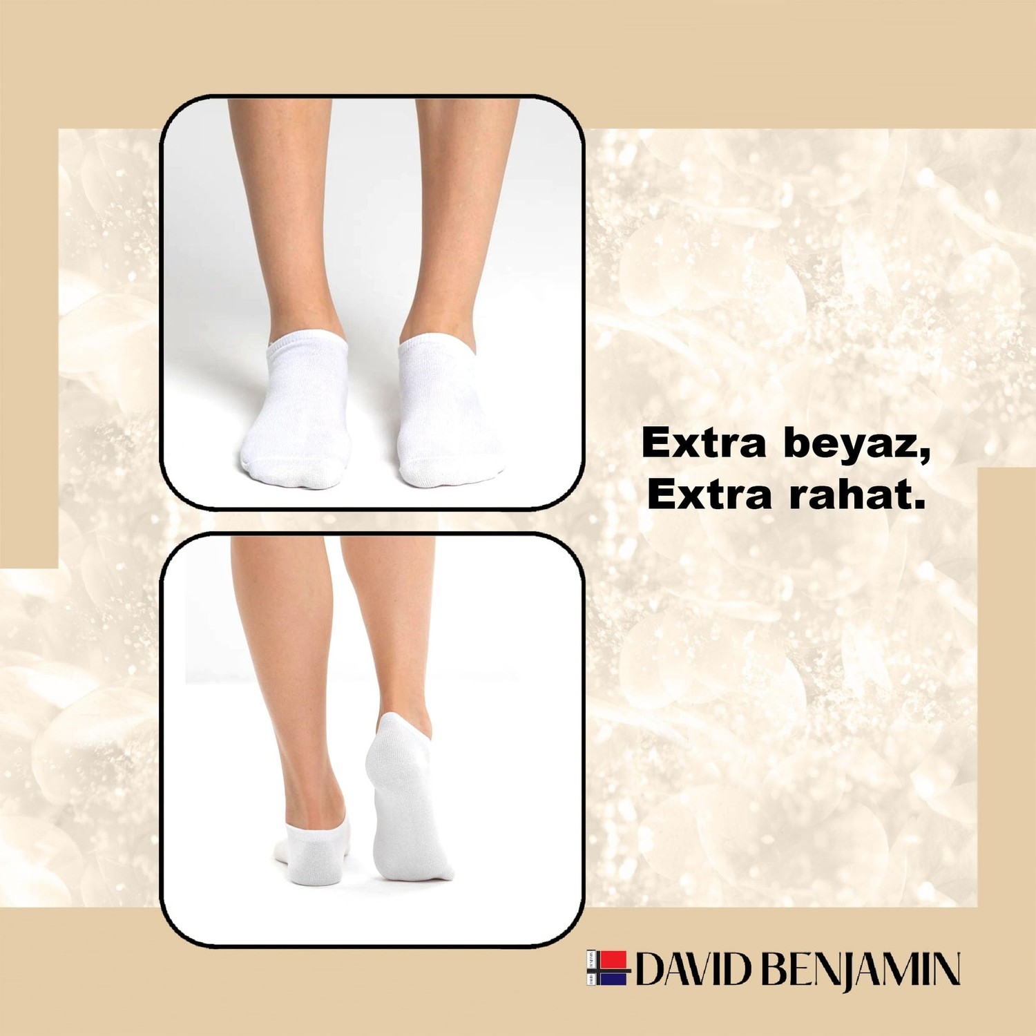 Die Grup David Benjamin Unisex 10’lu Premium Kutulu Pamuk Sneaker Çorap Patik Çorap - Nefes Alabilen, Kaymaz, Dikişsiz - Kadın & Erkek Için Yumuşak, Kısa Çorap, Spor Çorabı - Yürüyüş, Koşu Için (Beyaz, 43-46) görsel 3