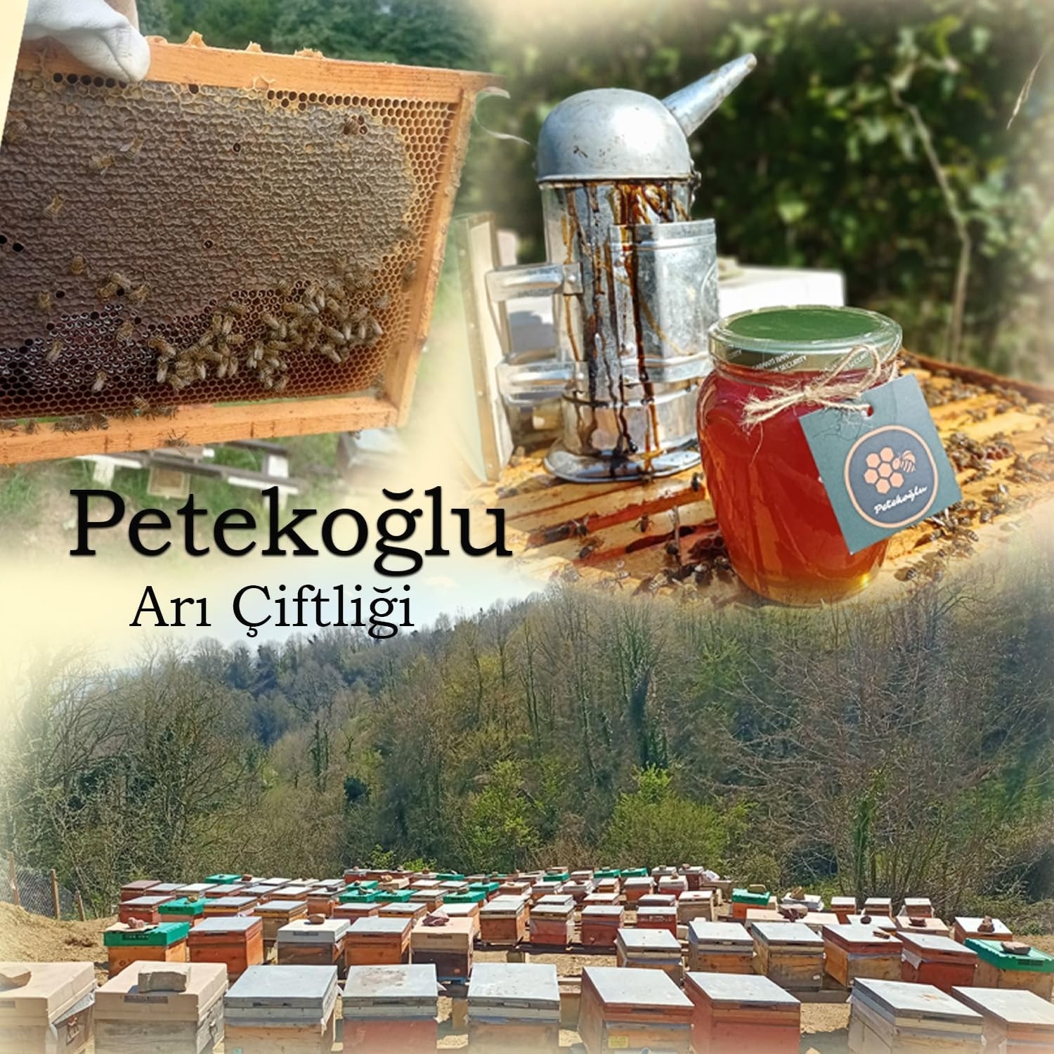 Özkaya Store (320GR) Saf Balmumu Doğal Katkısız Lüks Bal Mumu Kolay Kırılabilir, Kolay Kullanımlı Balmumu Beeswax Arı Mumu görsel 5
