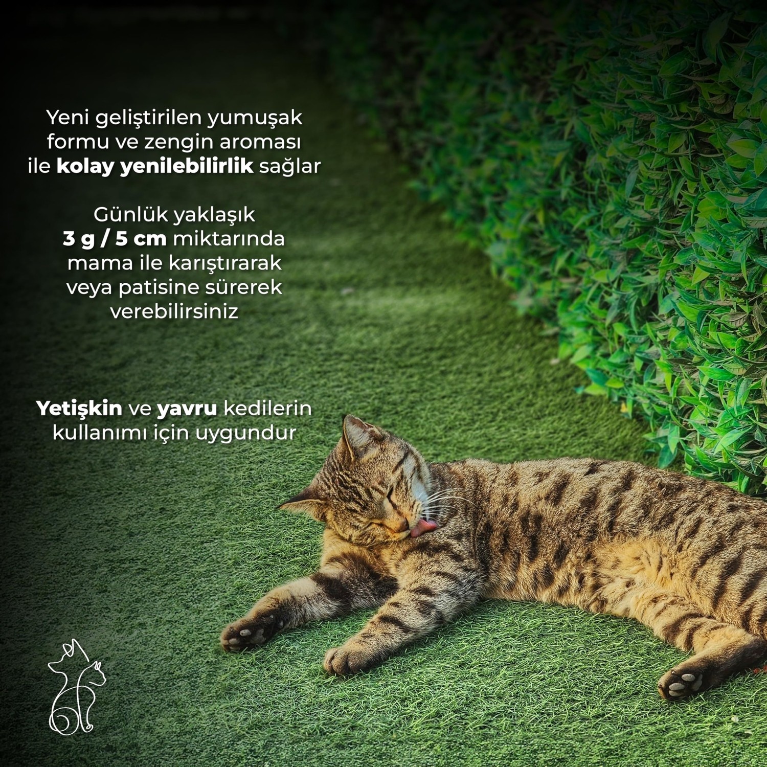 Aesco Kahu Naturals Biyotin & Kolajen Deri ve Tüy Sağlığı Kedi Maltı, Spirulina Içerikli, Tüy Dökülme Karşıtı 100 ml görsel 5