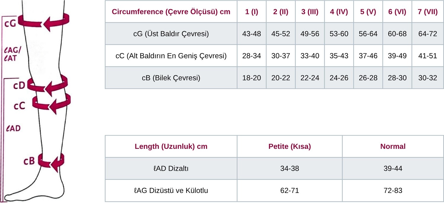 Bezos Plus Dizaltı Çorabı - Ccl2 - Burnu - Kaşmir - 4 Numara - Kısa (Petite) görsel 2