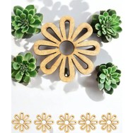 Yeni Koleksiyon
