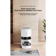 Yeni Koleksiyon
