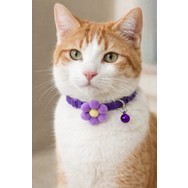 Çok Özel Fiyatlarla