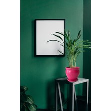 Evdek Tabaklı Klasik Koyu Pembe Çömlek Saksı 17X17 cm