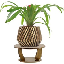 Evene Ahşap Ayaklı Beton Saksı Büyük Boy 1 Adet Dişli Model