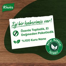 Knorr Baharat Ailesi 11li Paket