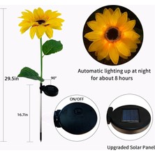 Qincao Güneş Ed Ayçiçeği Işıkları 2 Paket Güneş Bahçe Bahis Işıkları Bahçe Veranda Çim Yard Sundurma Geçit Dekorasyonu (Yurt Dışından)