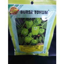 Bursa Tohum Kandil  lık Biber Tohumu 100 Gram