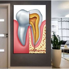 Caddeko Ağız ve Diş Polikliniği, Dişçi Tabloları Dekoratif Diş, Dekoratif Dişçi, Dişçi Dekorasyonu DSC183