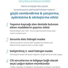 Atomy Marine Hidrojel Maske Yeni Nesil Aydınlatıcı