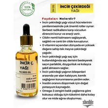 Zeyd Incir Çekirdeği Yağı - 50ML Özel Kutuda