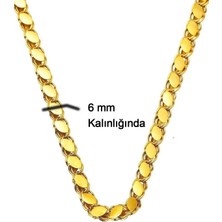 Ege Gold 22 Ayar Pullu Zincir Pullu Altın Kolye - 6mm